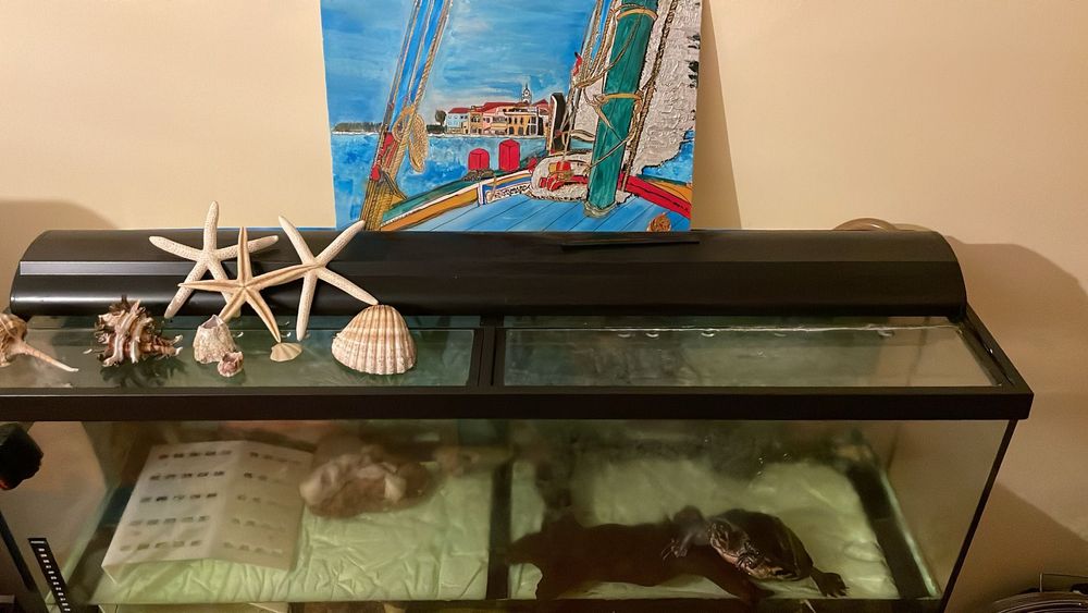 Aquário com um metro de comprimento (120 litros de água