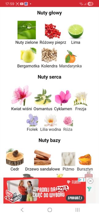 Sakura Ormonde Jayne edp 88ml ( nowe w folii)