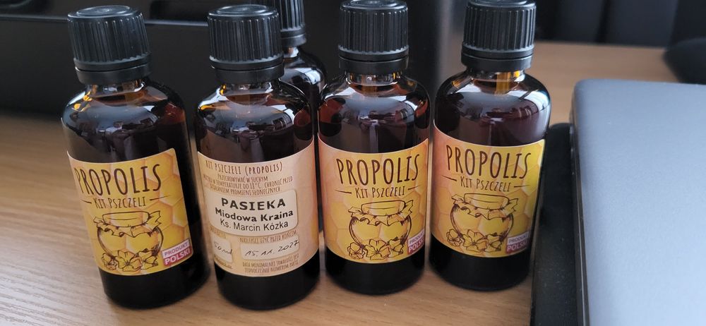 Propolis - naturalny antybiotyk