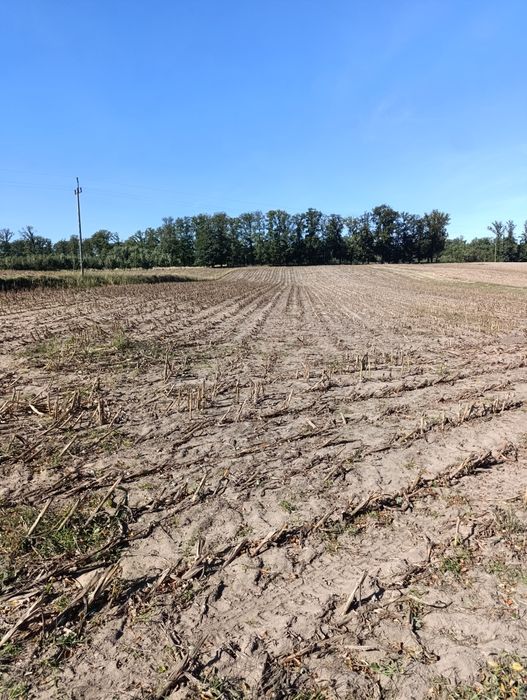Sprzedam działkę budowlaną z pięknym widokiem przy lesie