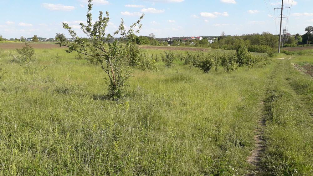 Продаю земельну ділянку с.Великі Бірки