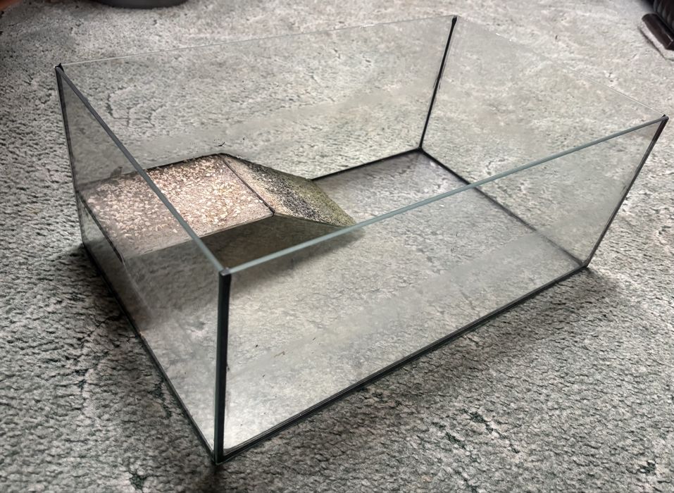 Terrarium z wysepką