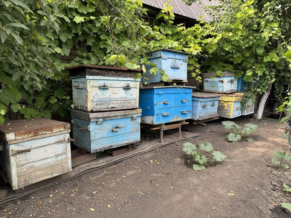 Продам вулики б/у лежаки