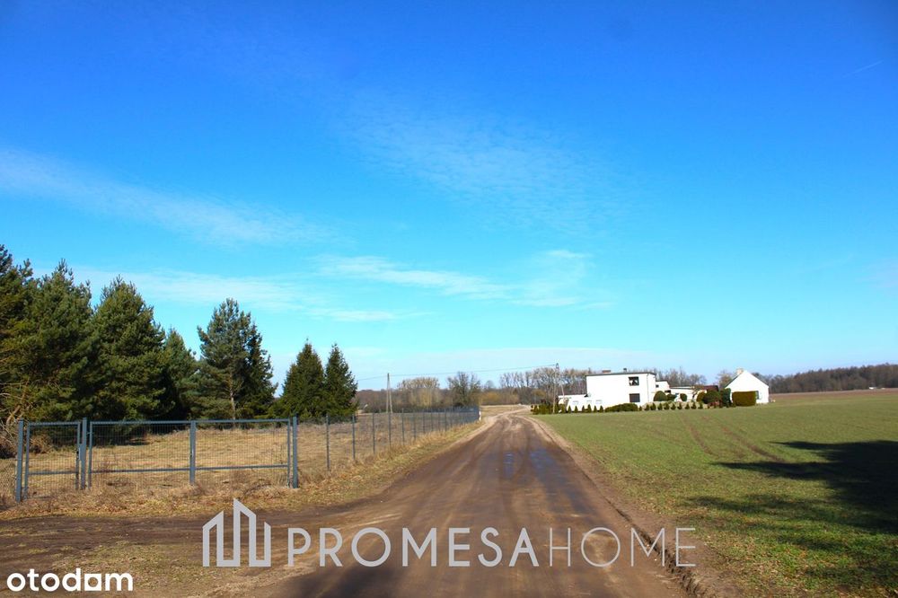 Bednary 1226 m² szybki dojazd do Poznania Malownicza okolica - LAS - Widok 4