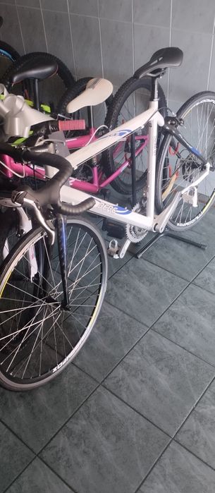 Berg estrada Fuego 7.5 tamanho 54