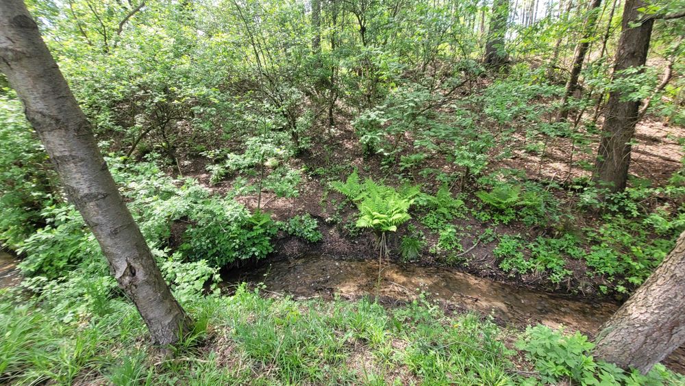 Działka Miękinia - Stawiska