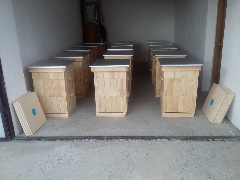 Ule Wielkopolskie  10 R  [Kompletny]nowe