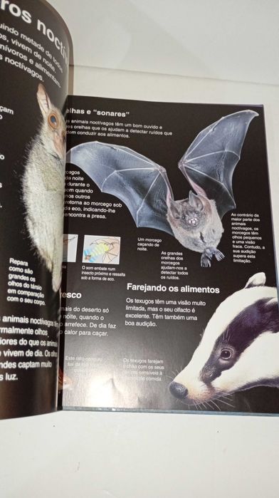 A Minha Primeira Enciclopédia de Animais