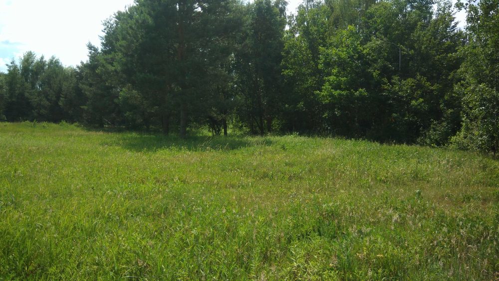 Sprzedam działkę o powierzchni 3500m2