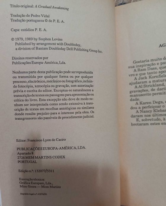 Livros de Stephen Levine