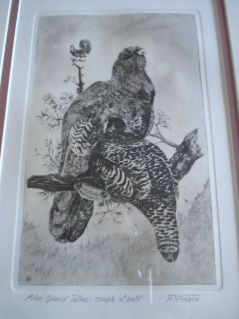 Quadro Gravura Aves - Assinada, autor desconhecido