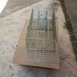 Armadilha para captura ratos, ratazanas e outros roedores.