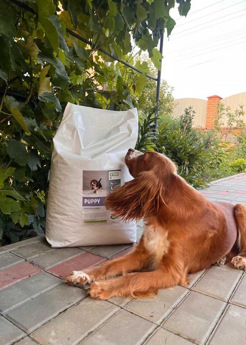 Преміум корм STARDEYL для цуценят!