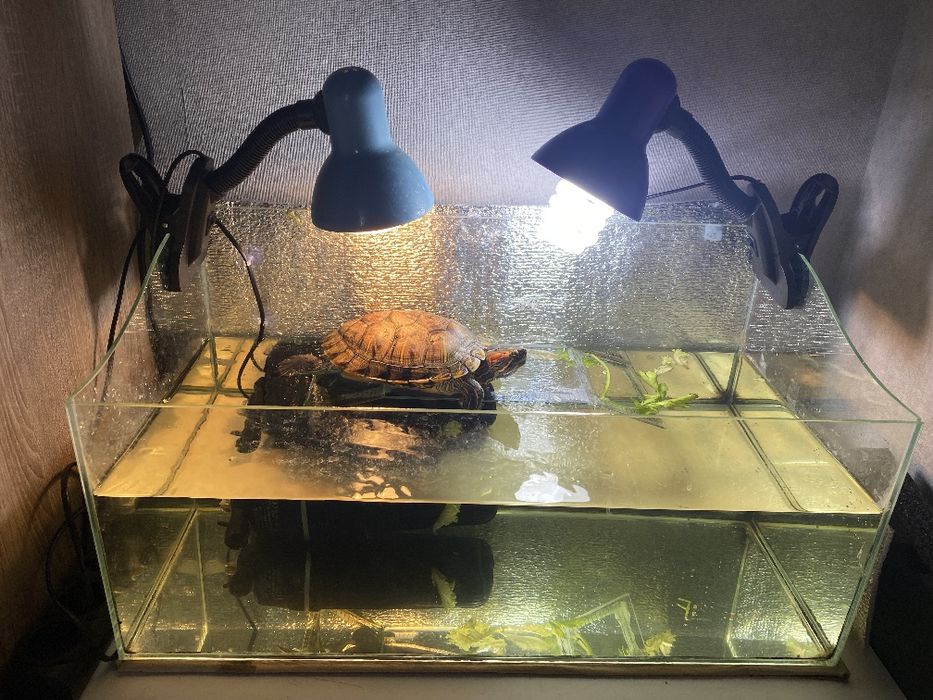 Черепашник Террариум  для черепахи 52л