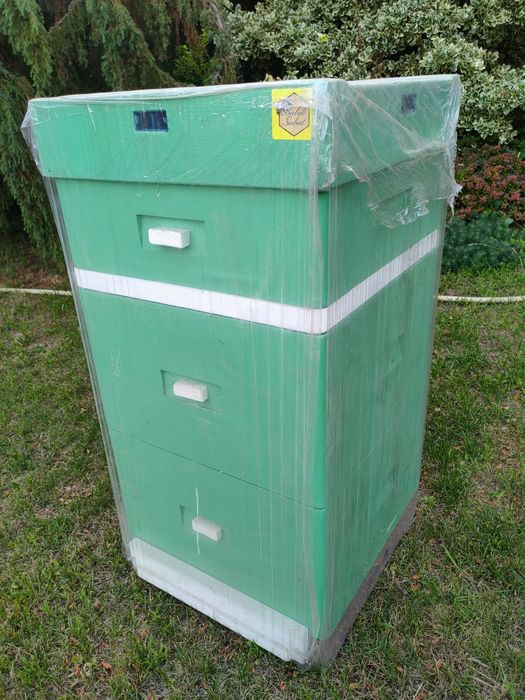 Ul Wielkopolski 10 cio ramkowy