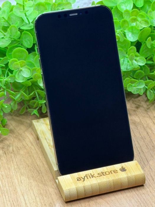 Iphone 12 Pro Max 128GB Graphit 