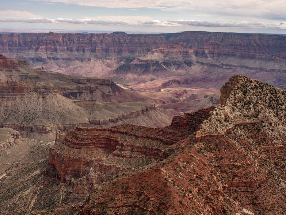 Olympus OM-D E-M1 Mark II - migawka 11tyś 2 akumulatory