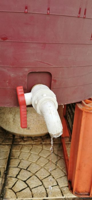 Recipiente para uvas com torneira