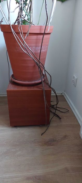 aplituner   yamaha  oraz komplet głośników