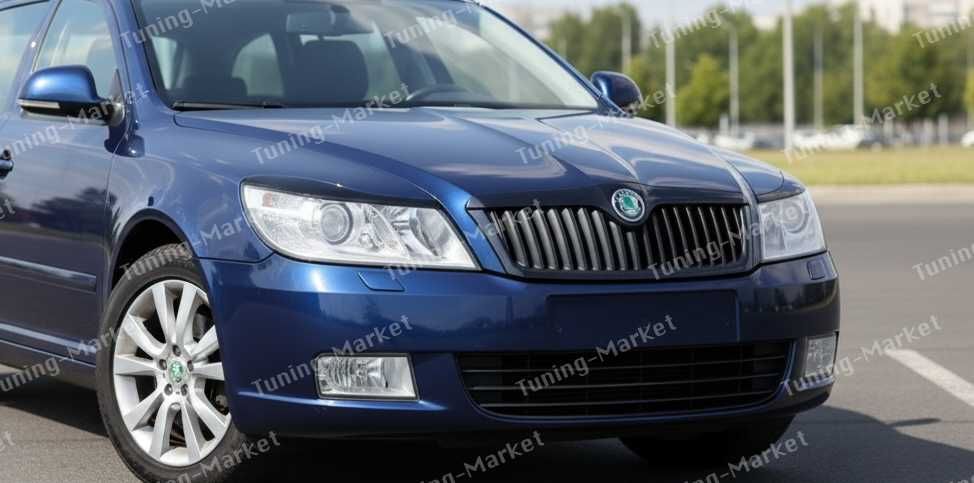 Накладки на фары Skoda Octavia Tour A4, A5, A7, реснички для Шкода Октавия Тур А4, А5, А7