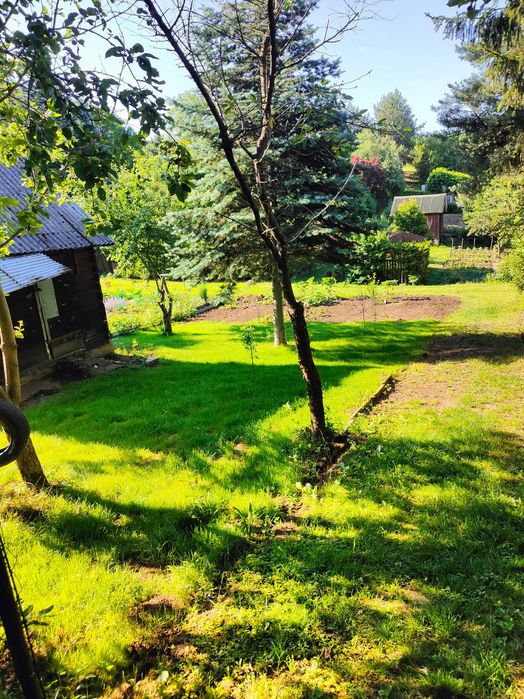 Działka ROD Uniszowice - View 4