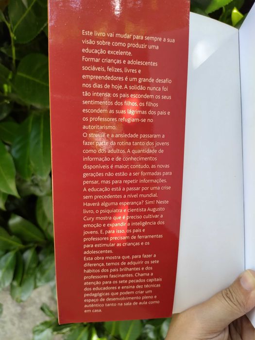 Pais Brilhantes, Professores Fascinantes (Augusto Cury)