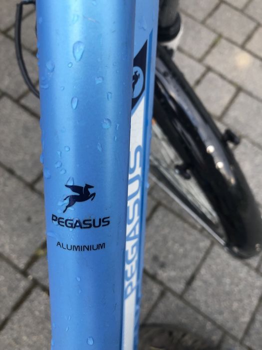 Fajny trekingowy Pegasus Piazza