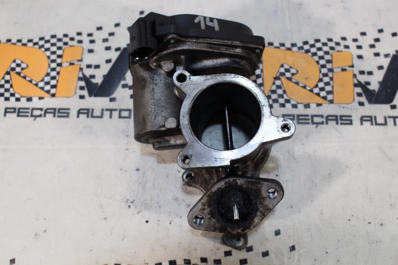 Válvula EGR AUDI A4 (8EC, B7)