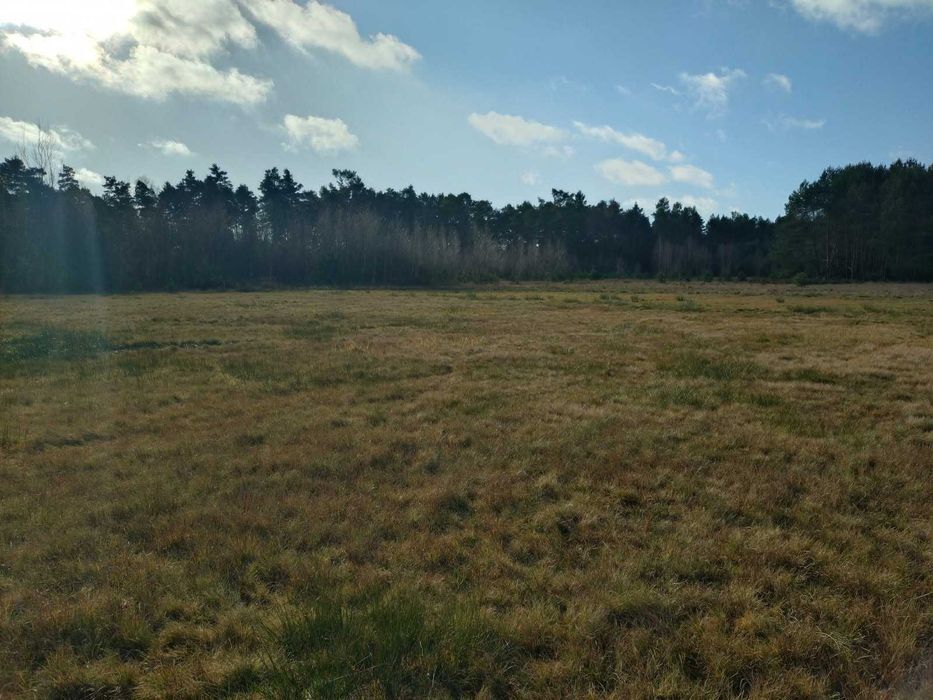 Piękna działka 2,5 ha okolice Koniecpola