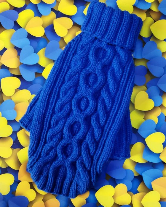 Одежда для собак