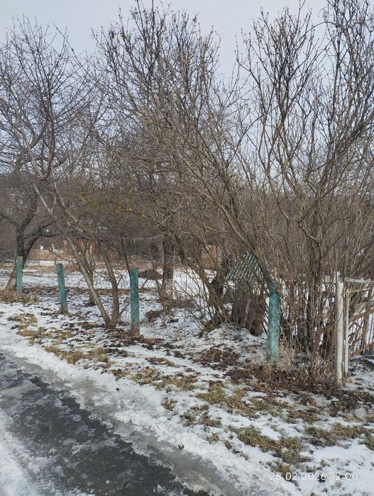 Затишна дача на 7 сотках – ідеальне місце для відпочинку