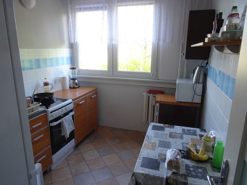 Apartment in Wrocław, Gaj - View 4