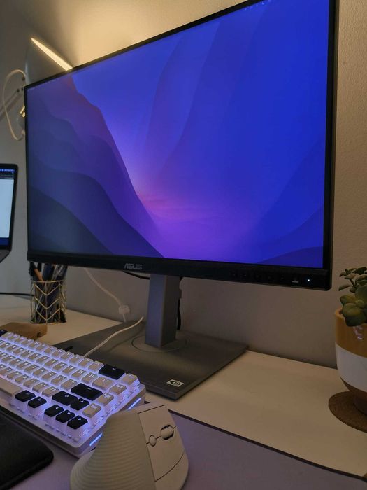 Monitor Asus ProArt – COM GARANTIA