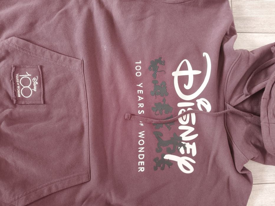 Bluza z Disney 100
