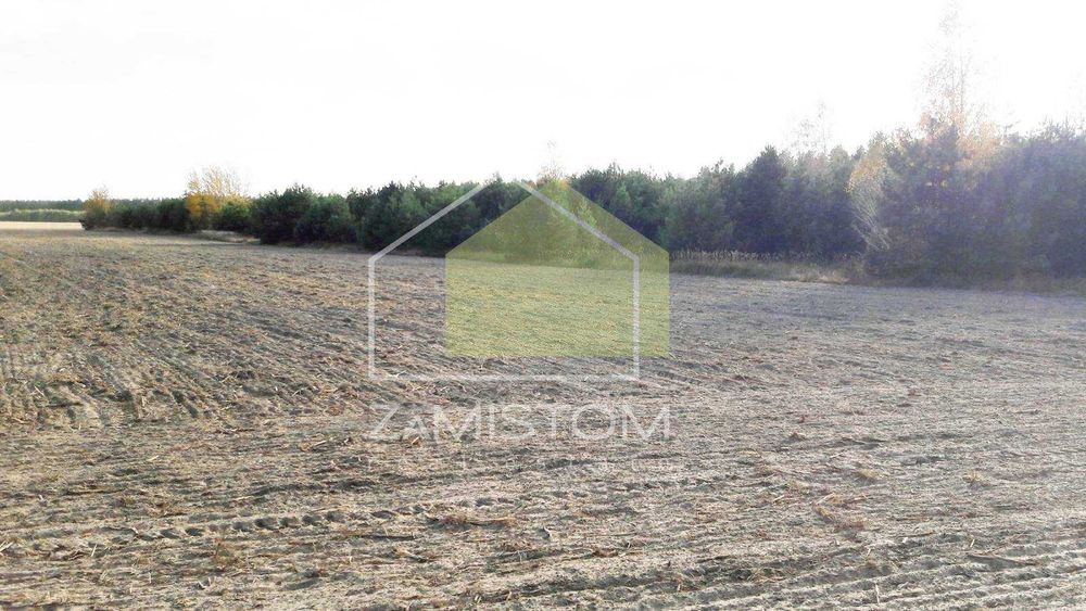 ‼️‼️Продам‼️‼️№524.Ділянка площею 5,1га. Біля лісу. Бортничі