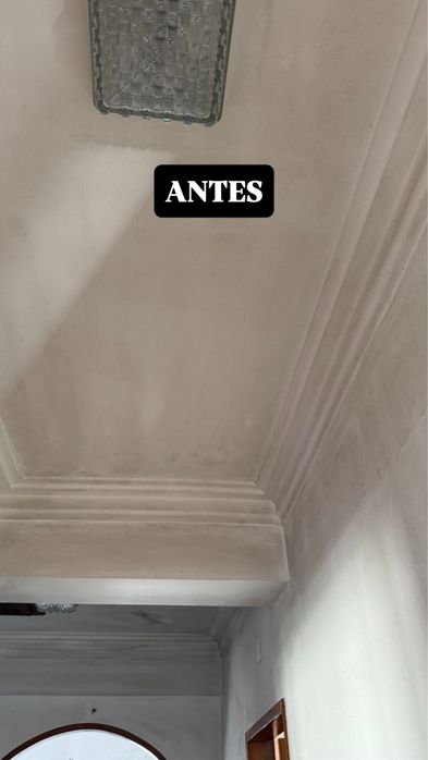 Remoção de Bolor e Humidade | Tratamento Profissional