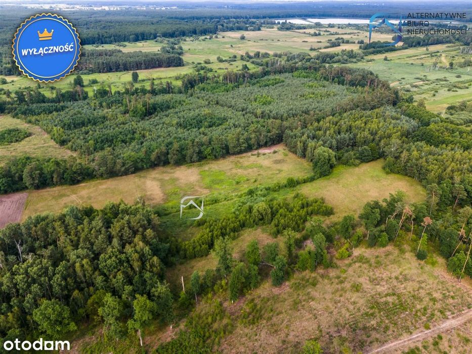 Działka 3004 m² blisko natury - gmina Łaziska