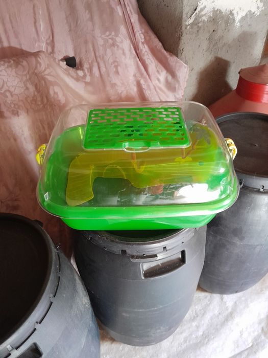 Tartarugueiras Novas