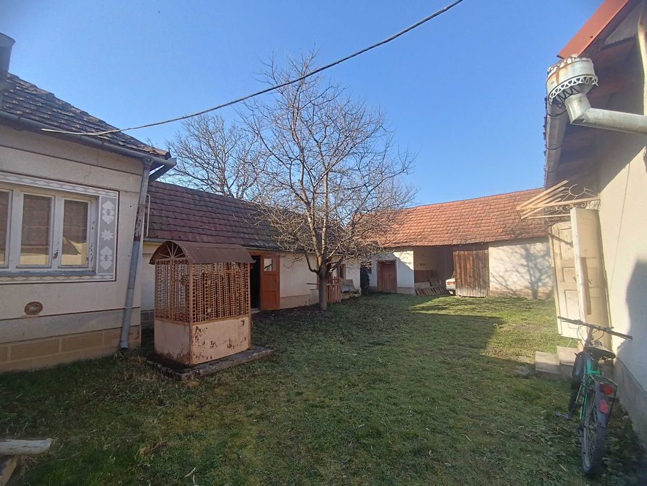 Велике БУДИНКОВОЛОДІННЯ у с. Балажер 7км до Берегова, ділянка 16 соток