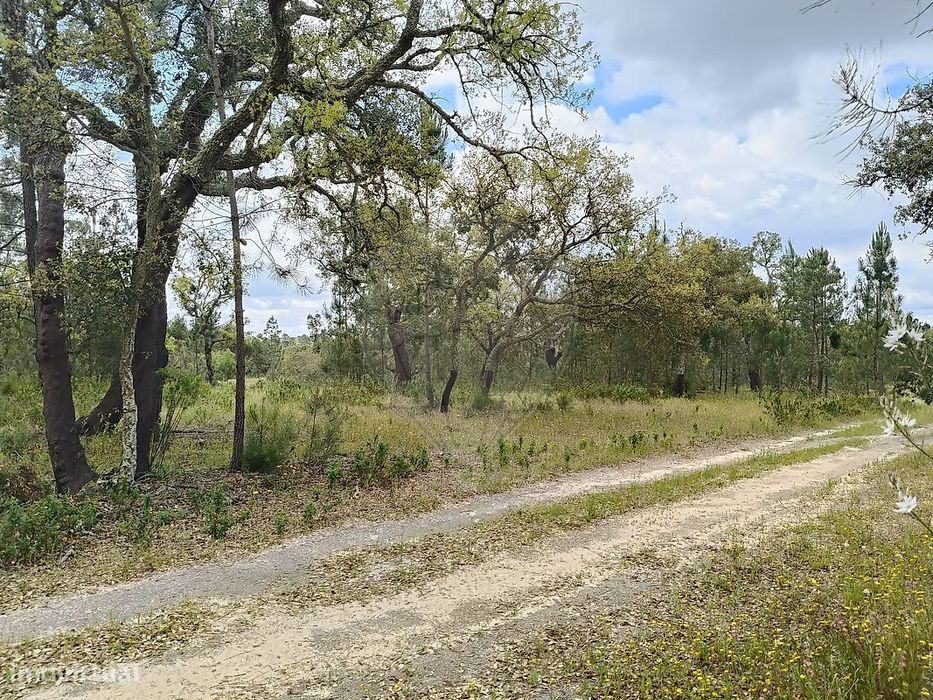 Terreno  para venda