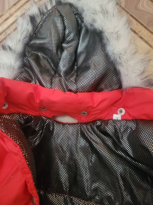 Куртка для собак