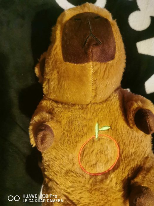 Interaktywna  kapibara pluszowa przytulanka-usypianka 40 cm .1-3 lata