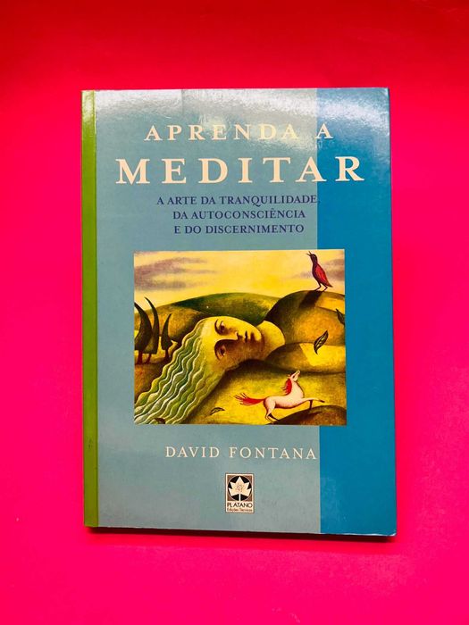 Aprenda a Meditar – David Fontana