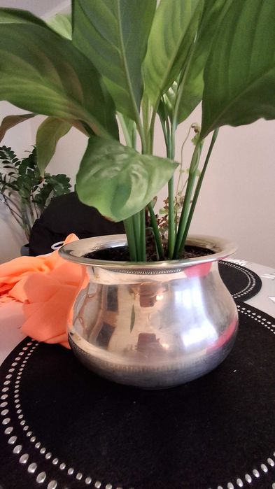 Platerowana waza- osłonka  firma Edzard (