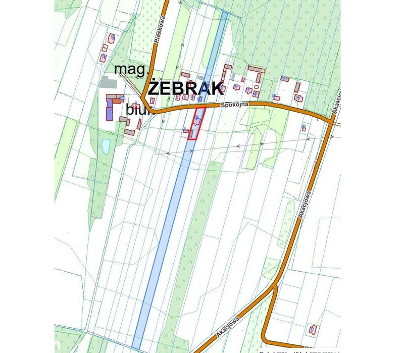 Działka siedliskowa 2,4663 HA z polem i lasem - Widok 3