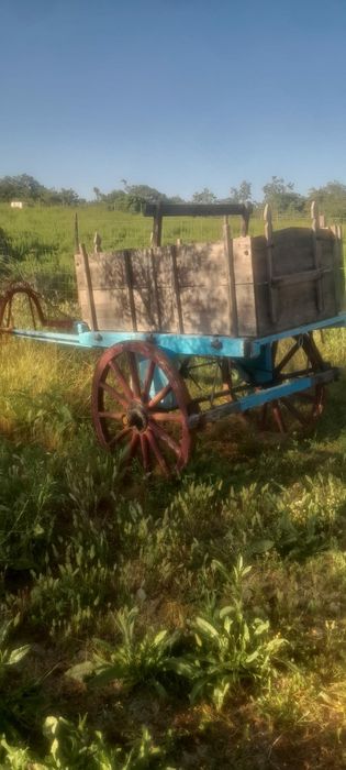 Carroça antiga em bom estado