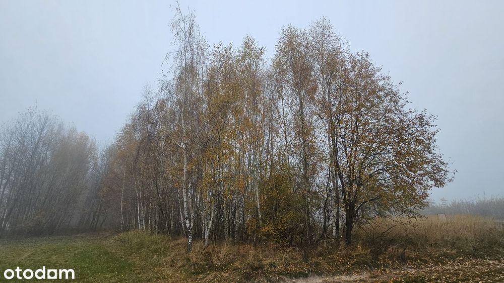 Działka o powierzchni 8800 m2