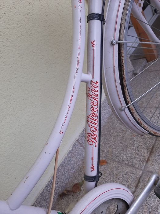 Bicicleta pasteleira