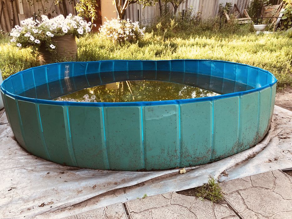 Бассейн 160/30 для собак