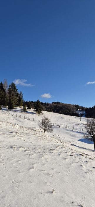 Domek w gorach z widokiem na Tatry /kominek/balia